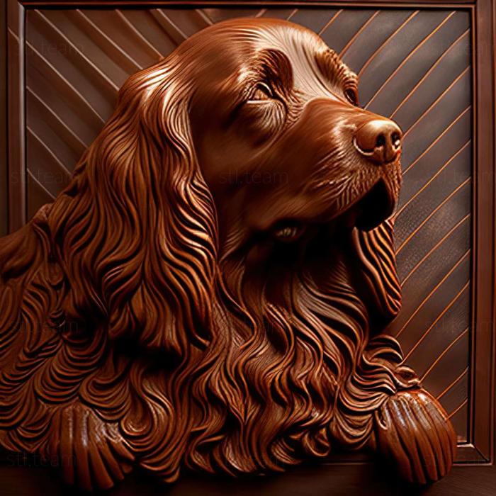 Animals Sussex Spaniel dog